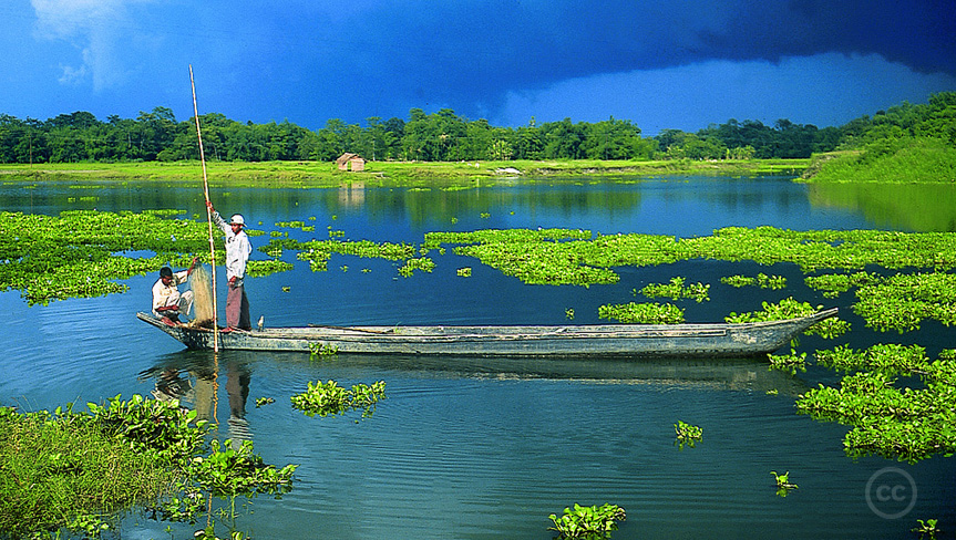 Majuli